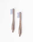Replacement Toothbrush Head