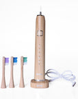 Electric Toothbrush with Replaceable Bamboo Head