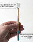 Bamboo-Toothbrush-with-Replaceable-Head-infographic