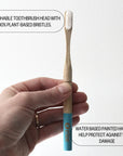 Infographic showing a bamboo toothbrush with detachable plant-based bristle head and water-resistant painted handle