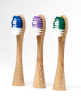Bamboo-Heads-For-Electric-Toothbrush-3-heads