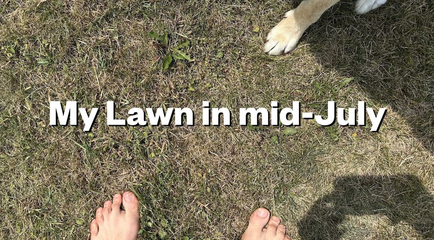 Garden prep for pollinators