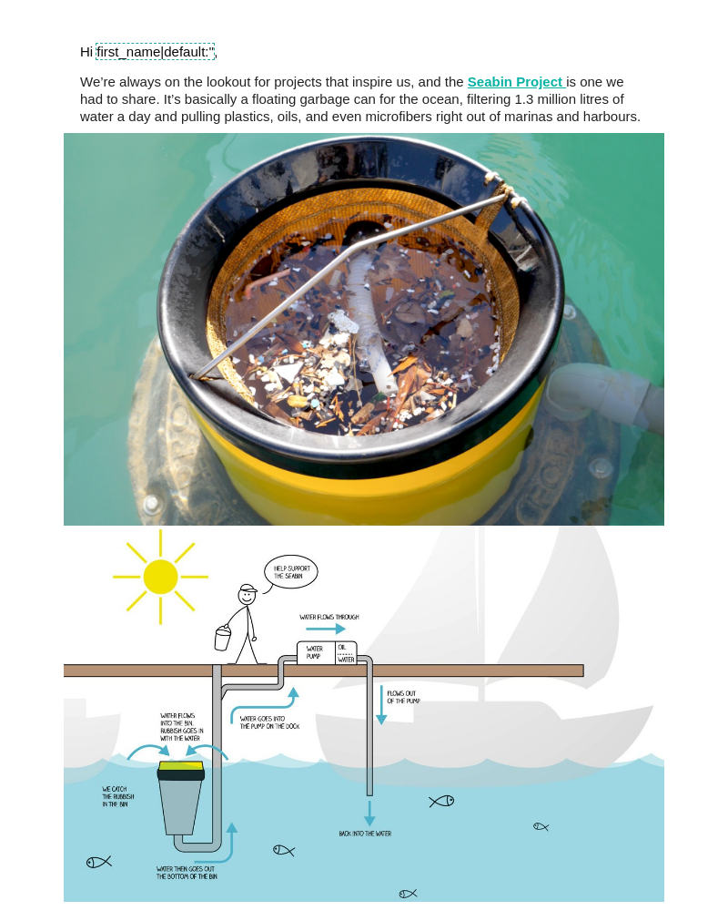 The Seabin project