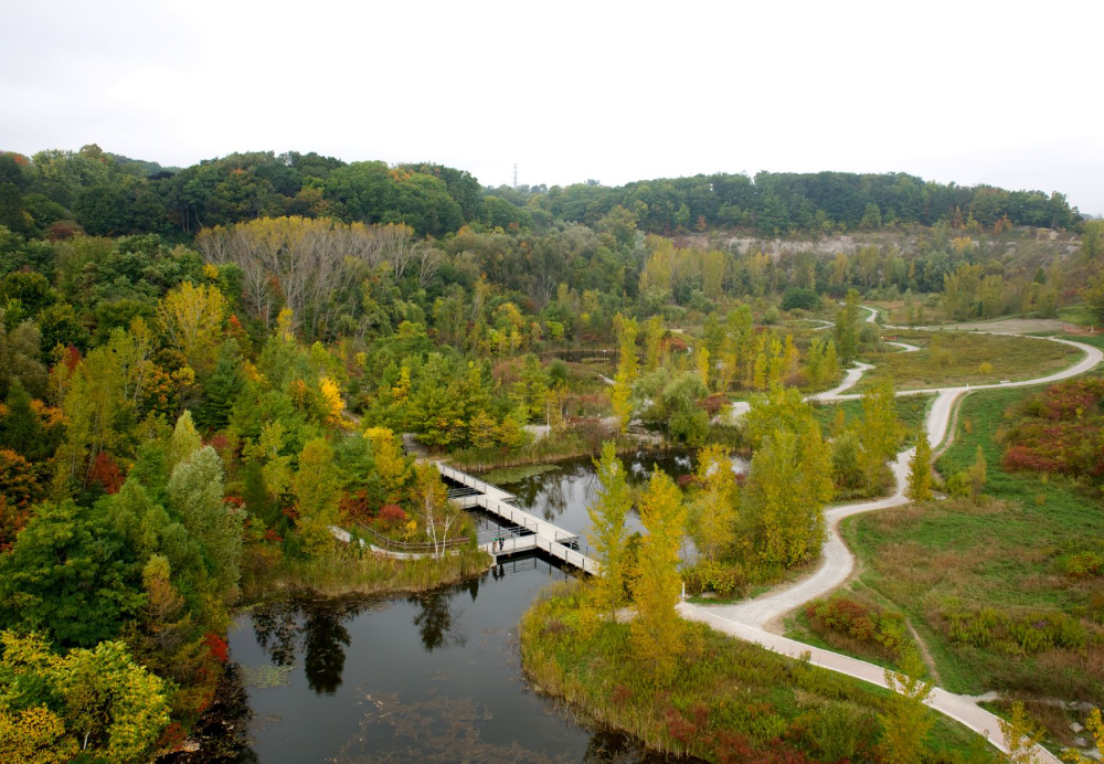 Toronto's Ravine System