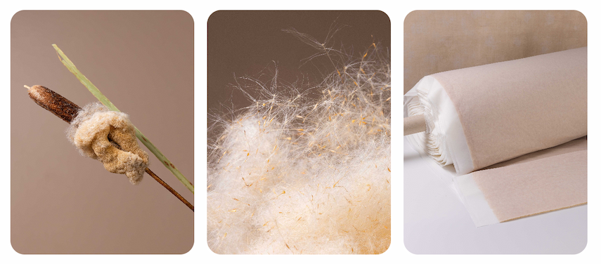 Clothing made from cattails