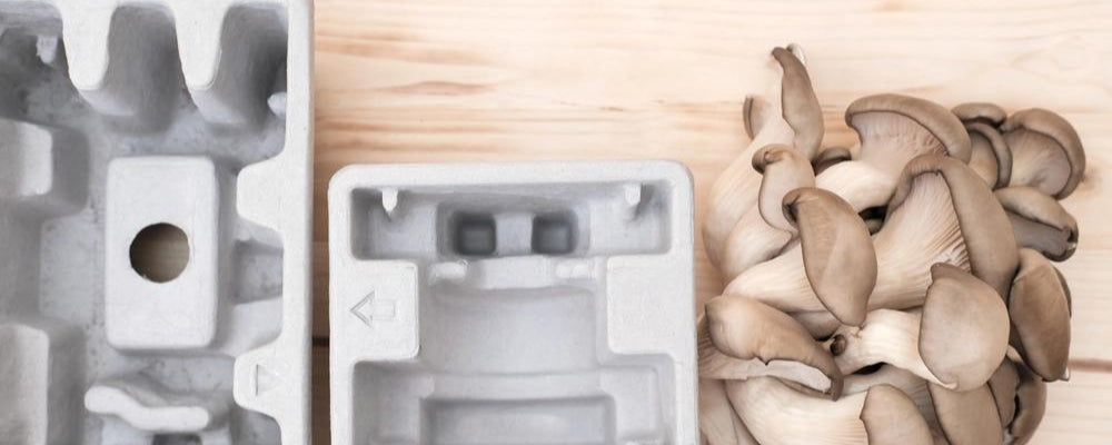 Mushroom Packaging