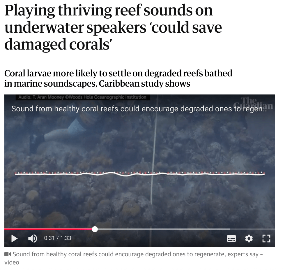 coral reef sound recovery