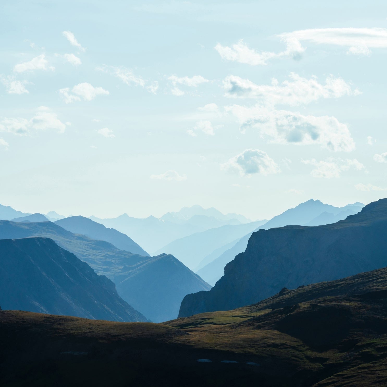 7 mind blowing nature facts – etee