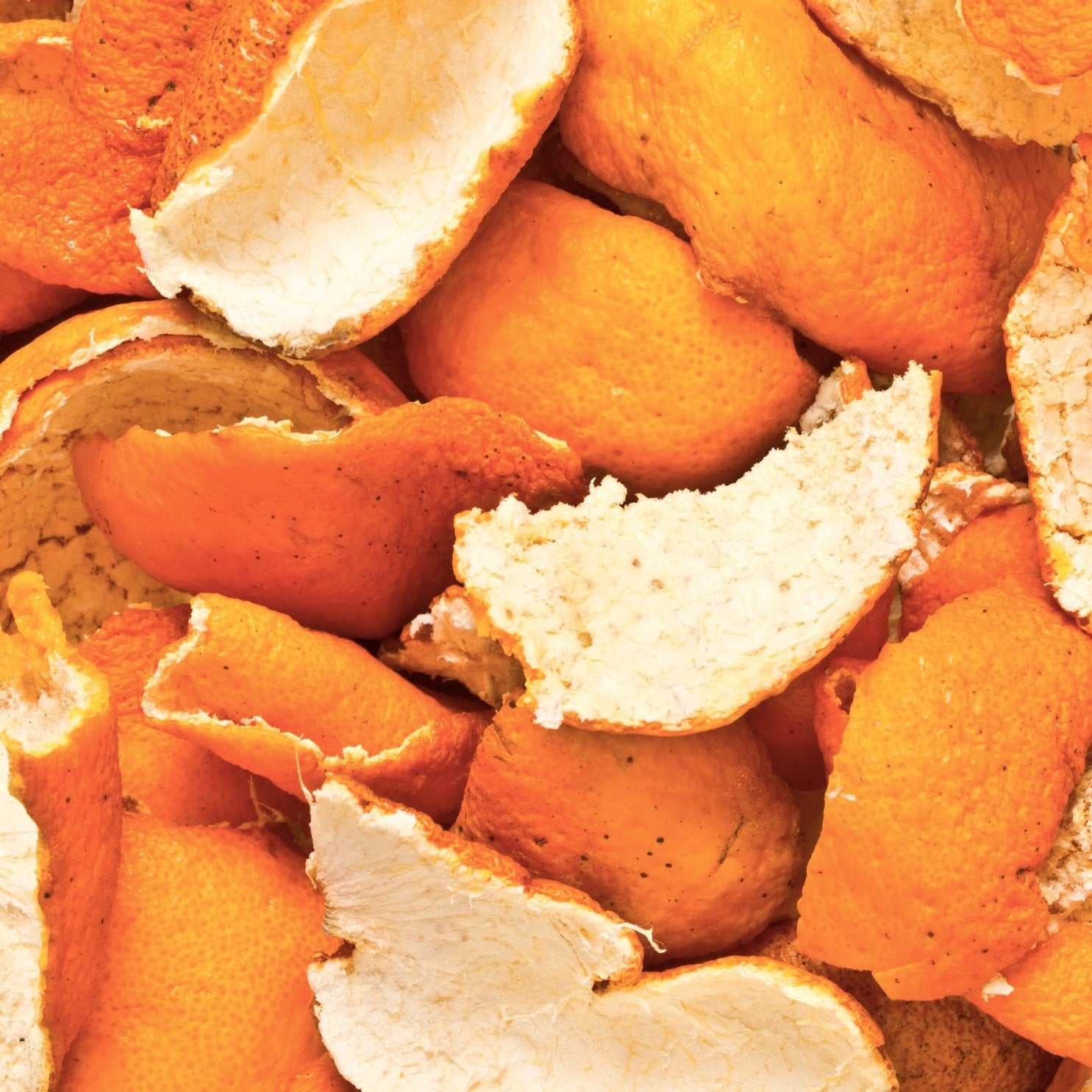 5 types of water to help your plants grow