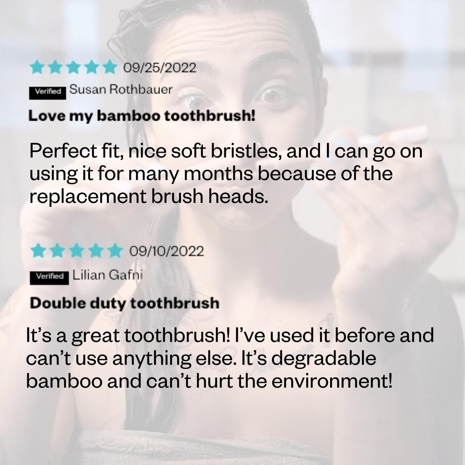 Bamboo Toothbrush with Replaceable Head