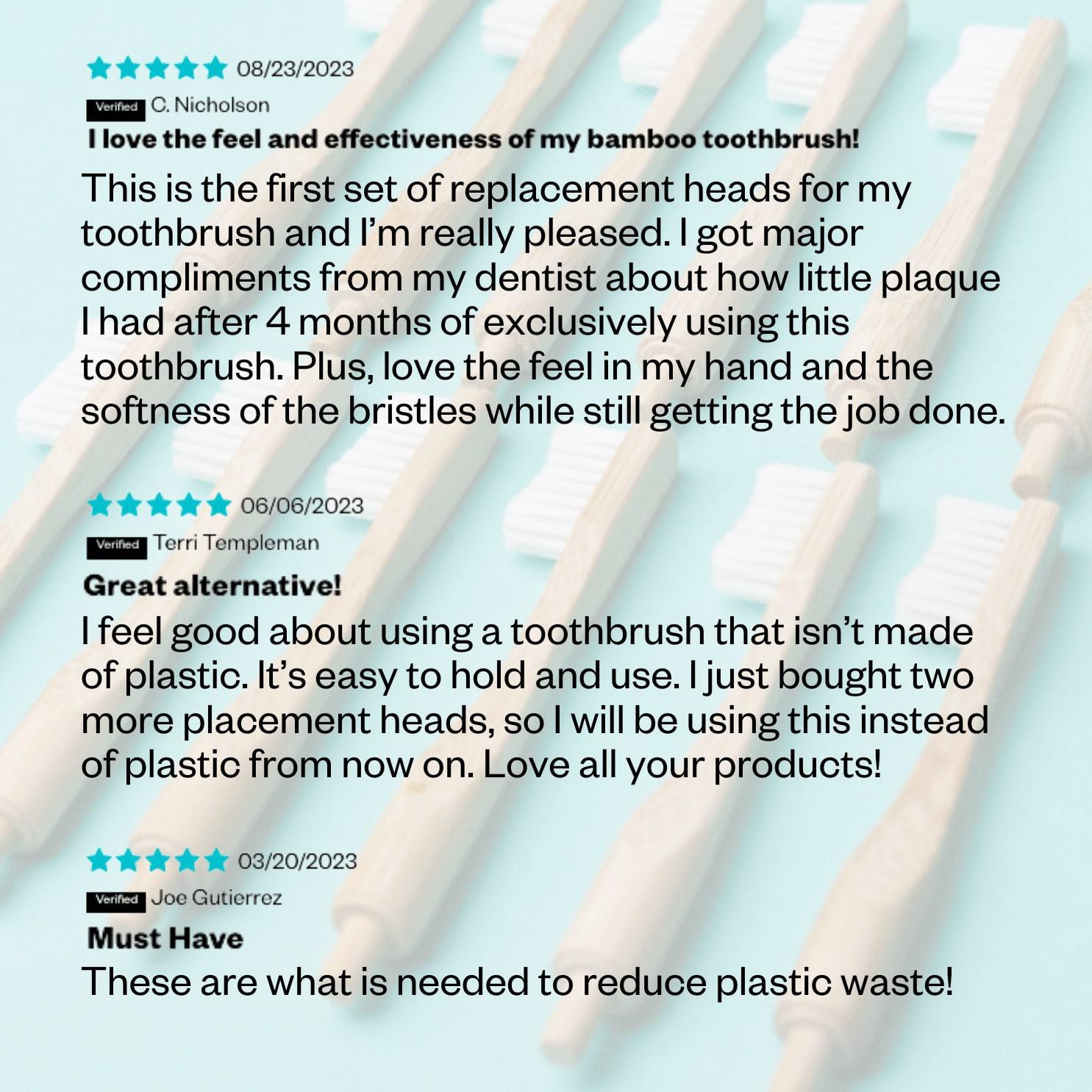 Replacement Toothbrush Head