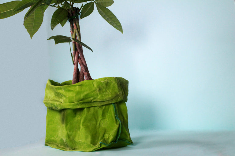 Say Goodbye to Plastic | Zero Waste, Plastic Free Living | ETEE