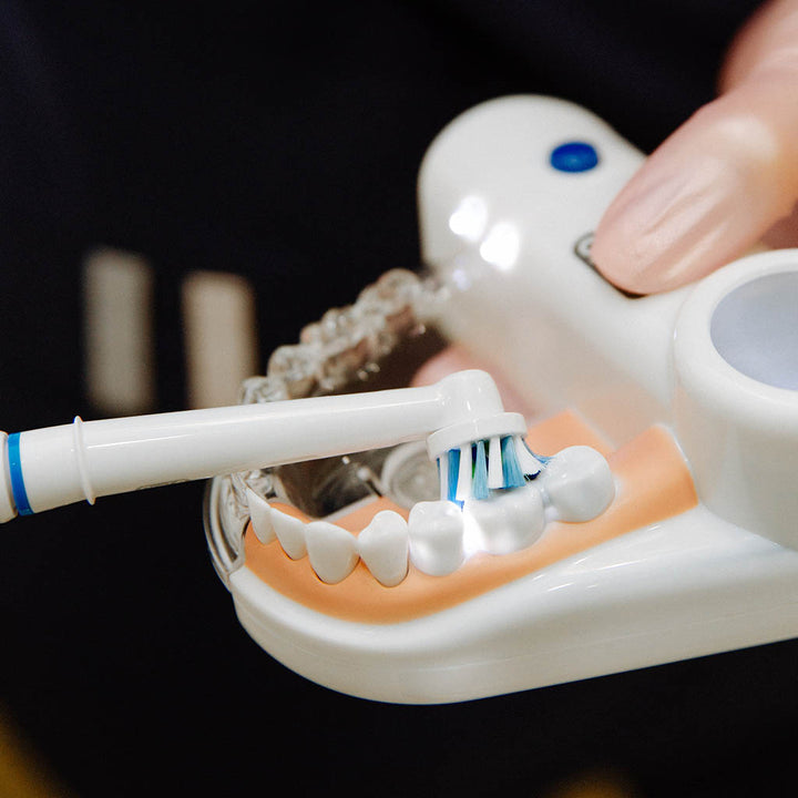 an electric toothbrush brushing a set of fake dentist practice teeth.