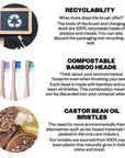 Benefits infographic of etee electric bamboo toothbrush including recyclability, compostable bamboo heads and castor bean oil bristles