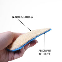 Infographic on loofie scrubbers with the text "non scratch loofah and absorbant cellulose"