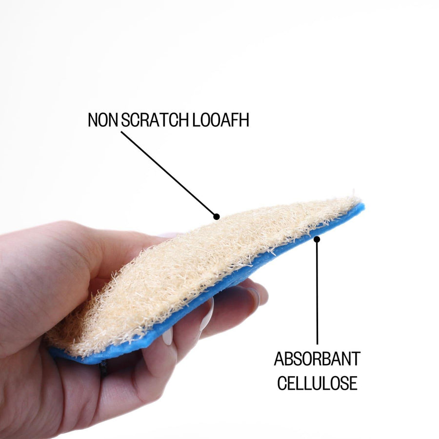 Infographic on loofie scrubbers with the text "non scratch loofah and absorbant cellulose"