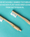 Infographic of etee replaceable bamboo toothbrush heads with the text "this detachable bamboo toothbrush head has 100% plant-based bristles made from castor bean oil"