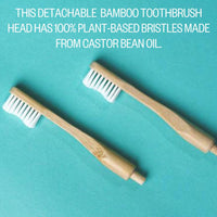 Infographic of etee replaceable bamboo toothbrush heads with the text "this detachable bamboo toothbrush head has 100% plant-based bristles made from castor bean oil"