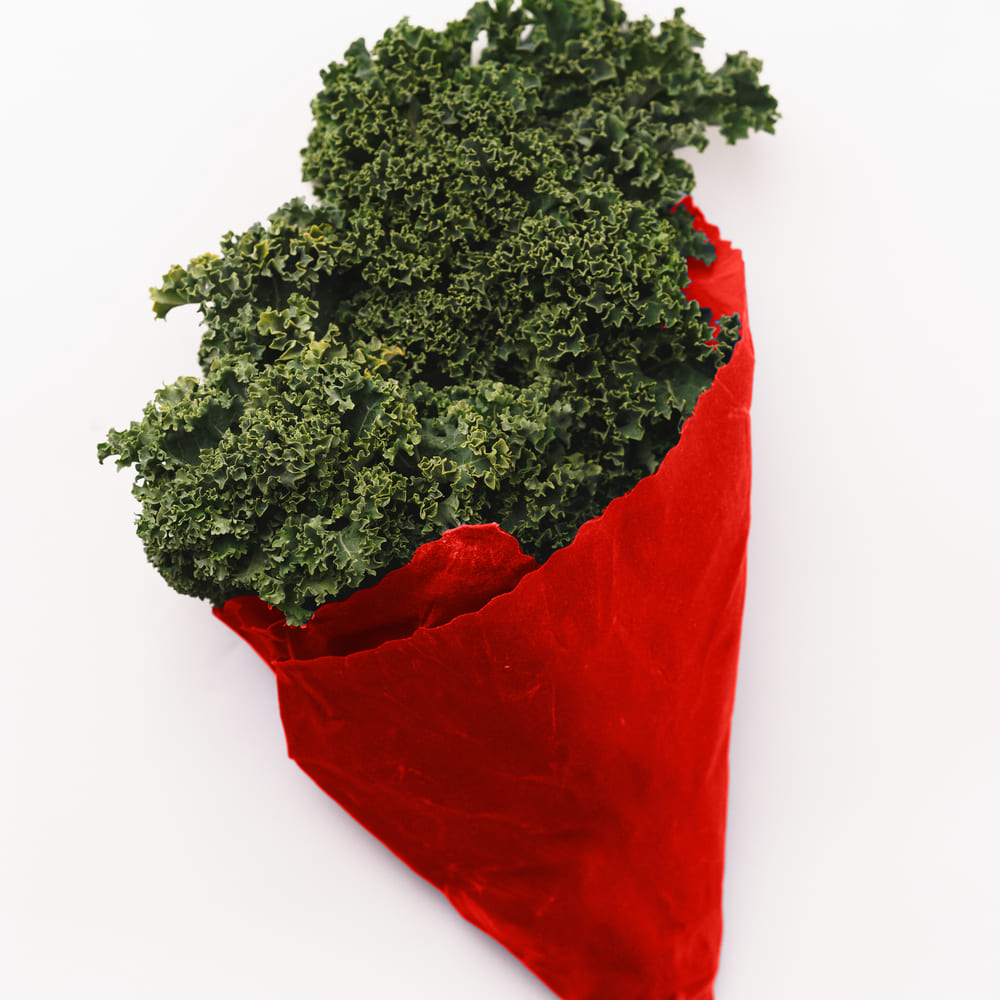 Red beeswax food wrap containing a bunch of kale